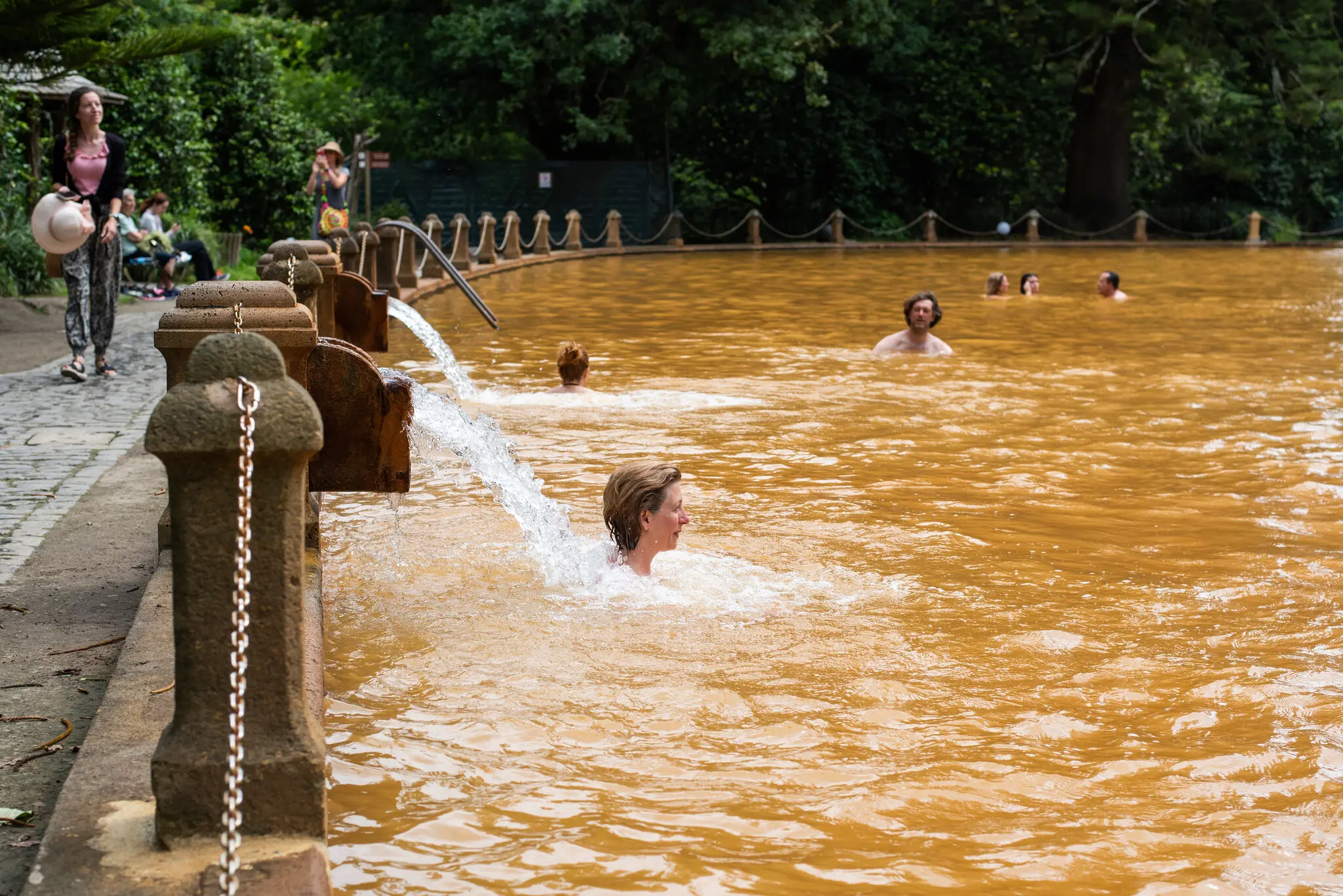 На додаток до багатьох акрів садів і гаїв, сад Terra Nostra в селі Фурнас має багатий залізом термальний басейн, який популярний серед місцевих жителів і туристів